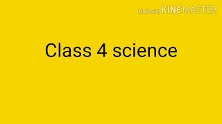 Class 4 Science chapter 1 [upl. by Yud]