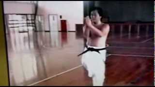 IWAO YOSHIOKA  Karate Do 5 [upl. by Aleuqahs]