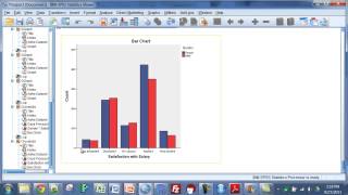 SPSS  Summarizing Two Categorical Variables [upl. by Trill]