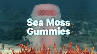 Iris Sea Moss Gummies Supplement  PectinBased Superfood Gummies  Raw Sea Moss Powder  Codeage [upl. by Salzhauer]