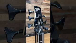 Ibanez GSR205 5 String Bass [upl. by Elberta]