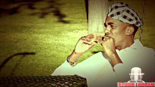 DALMAR YARE 2013 WAAN IMANAYAA OFFICIAL VIDEO DIRECTED BY STUDIO LIIBAAN [upl. by Jaquenetta]