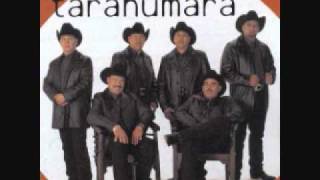 Conjunto Tarahumara Gaviota Traidora [upl. by Inafit]