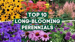 5 MustGrow Perennial Vegetables Harvest Year After Year 👩‍🌾 [upl. by Bernie25]