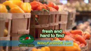 Willey Farms  Delawares Finest Farm market [upl. by Emmott878]