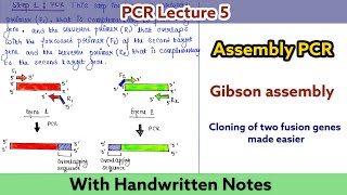 Assembly PCR  Gibson assembly  Types of PCR  PCR Lecture series [upl. by Thomey]