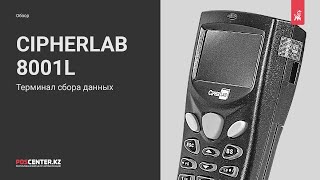 ТСД CipherLAB 8001L комплектация [upl. by Ylagam]