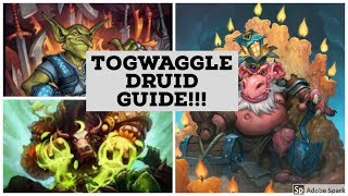 Togwaggle Druid guideRise of Shadows [upl. by Monty]