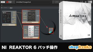 Native Instruments Reaktor 6の使い方①「BLOCKS」を使用したパッチ操作（Sleepfreaks DTMスクール） [upl. by Helena]