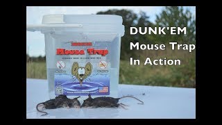 The Original DunkEm Mouse Trap In Action With Real Mice  Motion Cameras [upl. by Vasily]