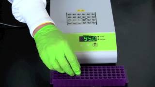 Alu PV92 Detection by PCR [upl. by Urbas]