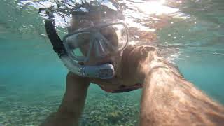 Snorkeling Day At Great Bird Island Antigua [upl. by Keeley]