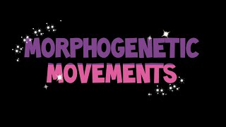 Morphogenetic Movements  Developmental Biology  CSIR  Life sciences [upl. by Williamsen330]