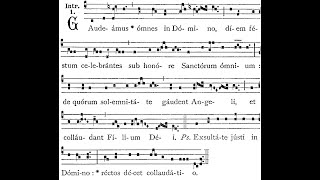 Gaudeamus omnes in Domino Schola Cantorum Immenstadt  Gregorian Chant [upl. by Oinigih749]