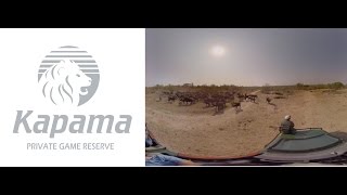 kapama River Lodge 360 view [upl. by Anihtyc]