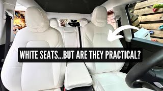 TESLA White Seat Covers  FULL Review EVBASE [upl. by Atnoled158]