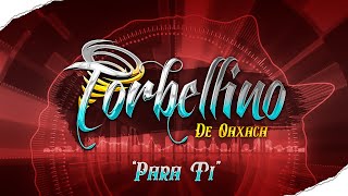 Torbellino De Oaxaca  Para Ti Musica Mixteca Estreno 2023 [upl. by Paapanen]