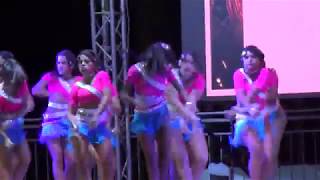 Grupo Profesional Juvenil Vigor Salsero Élite En Salsa Ladies 2019 [upl. by Chatav]