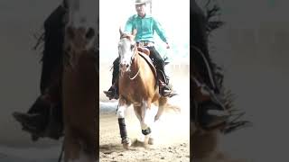 SPORT TV22 Spektakulärer Sliding Stop beim Reining  Westernreiten shorts [upl. by Gorrian]