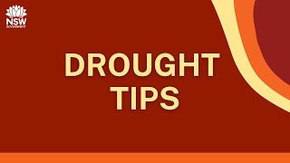 Drought Tips Margin over Feed Costs [upl. by Ivens]