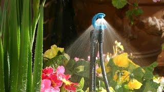 Antelco CFd® Downspray Micro Irrigation Spray Jets [upl. by Lotsyrk]