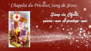 Chapelet du Précieux Sang de Jésus du 2 juillet 2021 [upl. by Benil249]