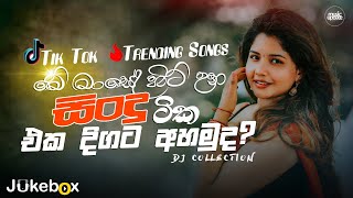 2024 Tik Tok Hit Songs මේ මාසේ හිට් උන ටික එක දිගට අහමු Tik Tok Hit Songs playlist 2024 [upl. by Hewitt]