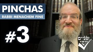 Shnayim Yomi  Pinchas  Shlishi  3 5784 [upl. by Yong]