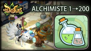 MÉTIER ALCHIMISTE 1 → 200  Gryfox DOFUS [upl. by Eed]