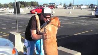 Soldier reunites with dog at airport [upl. by Haye115]