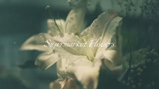 lyrics Supermarket Flowers  Ed Sheeran [upl. by Mariandi204]