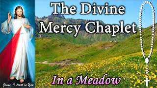 Divine Mercy Chaplet in a Meadow Virtual [upl. by Adaran]