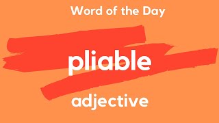 Word of the Day  PLIABLE What does PLIABLE mean [upl. by Wilde16]