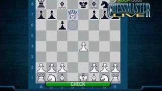 Chess Master vs Beginner  Explained [upl. by Ahkeber]