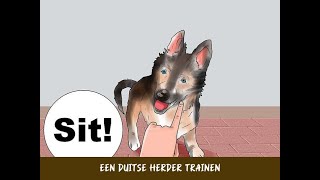 Een Duitse herder trainen [upl. by Deden174]