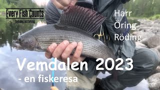 Vemdalen 2023  en fiskeresa [upl. by Linehan269]