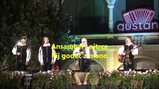 Ansambel Lojtrca Pij godec z mano Festival Guštanj 2018 [upl. by Zahc]