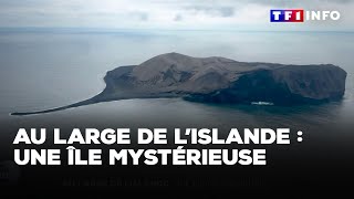 Au large de l’Islande  une île mystérieuse｜TF1 INFO [upl. by Trovillion]