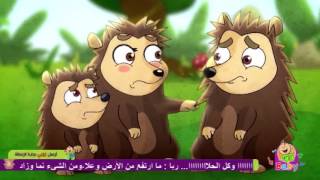 3ailet el9anafeth أنشودة عائلة القنافد بابي طيور [upl. by Casey908]