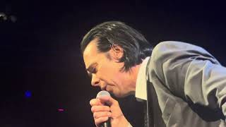 Tupelo  NICK CAVE amp THE BAD SEEDS liveZiggoDome Amsterdam 2692024 [upl. by Loftis]