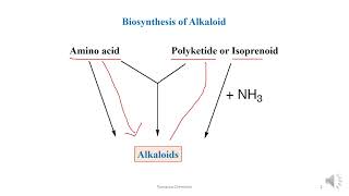 Biosynthesis of Nicotine [upl. by Abrahan205]