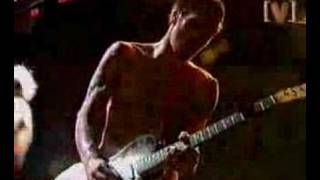 Red Hot Chili Peppers  Easily Live [upl. by Burnley442]