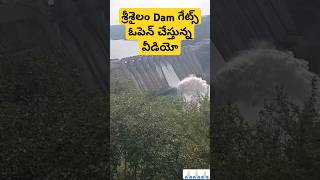 శ్రీశైలం Dam గేట్స్ ఓపెన్ చేస్తున్న వీడియో srisailam dam gates open srisailam nallamalla travel [upl. by Other]