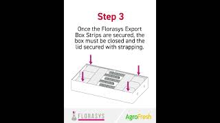 Florasys packing instructions flowers so2sheets flowersolutions [upl. by Kirima]