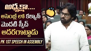 Deputy CM Pawan Kalyan First Speech In AP Assembly  AP Assembly Session 2024 [upl. by Aemat442]