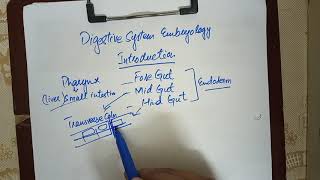 Digestive System Embryology lec1 Introduction [upl. by Koetke677]