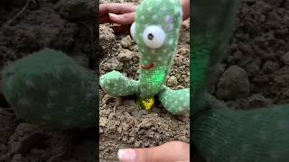 Cactus🌵me dost🥲ko kya ho gaya🥲🥹🤨shortsvideo [upl. by Nomaj]