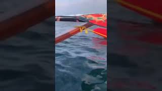 Baleia pulando perto do barco😱 [upl. by Hakvir]