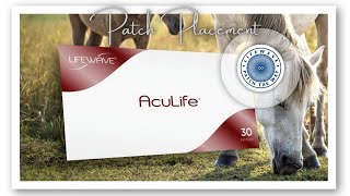 LifeWave Aculife Patches Horses Dont Lie Patch Placements [upl. by Aksehcnarf]