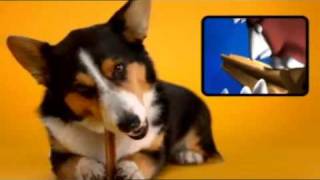 Pedigree DentaStix Werbung  quotDie Drittenquot [upl. by Teews]